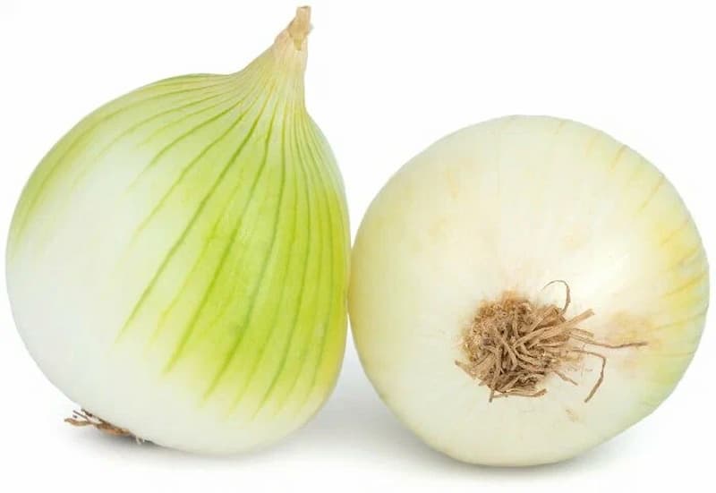 تصویر 4 از پیاز ساقه سبز تازه و معطر برای طعم و تازگی در آشپزی